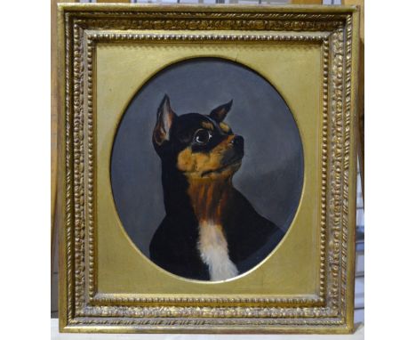 English school - Portrait study of a black and tan dog, oil on board, 27.5 x 24 cm Condition Report Good, clean surface, ungl