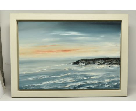 LYNNE TIMMINGTON (BRITISH CONTEMPORARY) 'ASSENS', an impressionist style Danish coastal landscape, signed bottom right, oil o