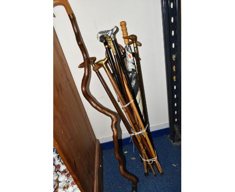 A GROUP OF WALKING STICKS, twelve sticks and one golf umbrella, comprising a natural shaped walking staff, three walking stic