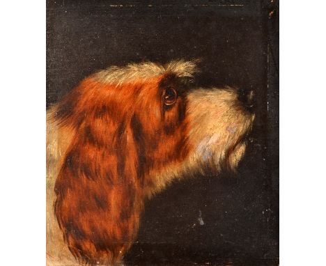 EDWARD ARMFIELD
Portrait of a Terrier
Oil on metal panel
Initialled
Unframed
22 x 20.5cm