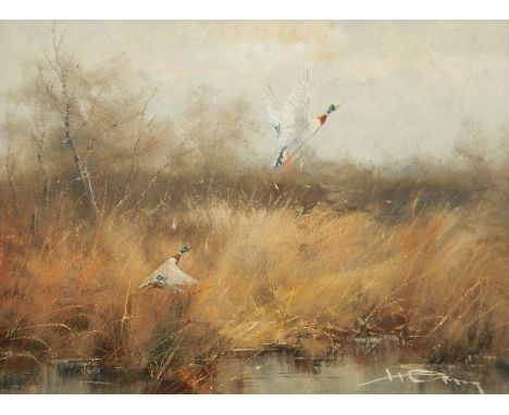 Hansing, oil on canvas, ducks in light amongst reeds, signed indistinctly 29.5 x 39cm