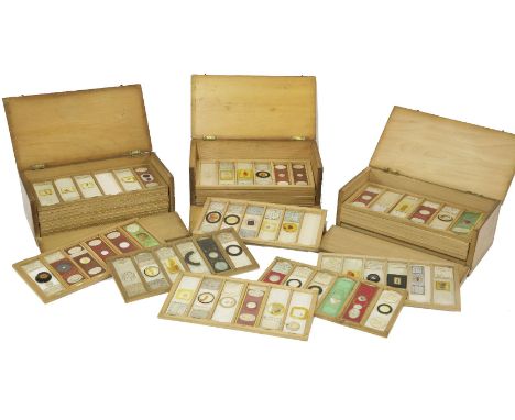 A large quantity of microscope slides,19th century and later, a quantity in three pine fall front boxes, labels by R T Smith,