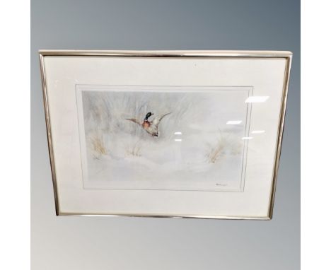 A R G Wright signed colour print depicting a duck in flight, framed.
