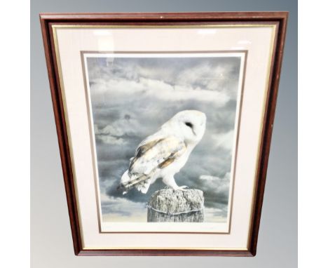 A D Scott Atkinson signed limited edition print - Portrait of a Barn owl 19/500 framed.