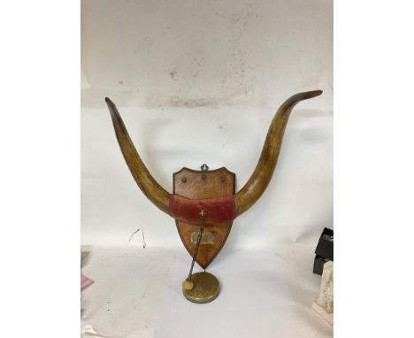 Large vintage pair of cow horns mounted on shield with plaque and gong (D)