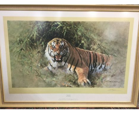 David Shepherd. A framed and glazed signed Limited Edition numbered print of a tiger 'Working sketch for a painting of a Tige