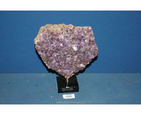 An Amethyst cluster on stand, 9 1/2'' tall x 8'' wide.