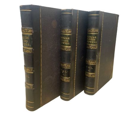 SHIRLEY HIBBERD: FAMILIAR GARDEN FLOWERS, in 3 volumes, London, Cassell, Petter and Galpin, First series. Half calf lines in 