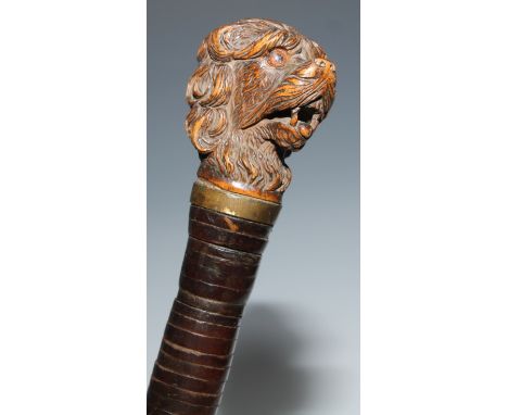 A 19th century novelty walking stick, the handle well carved as the head of a dog, glass eyes, gilt brass collar, unusual ban