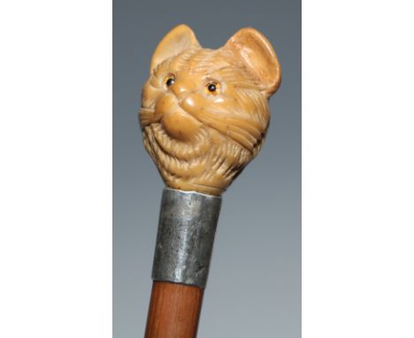 An early 20th century novelty walking stick, the vegetable ivory pommel carved as the head of a cat, bamboo cane, 89cm long