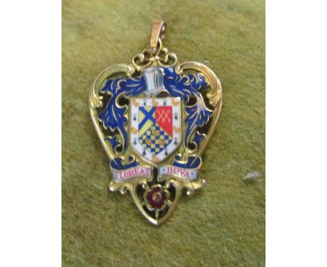 9ct gold and enamel Hove badge