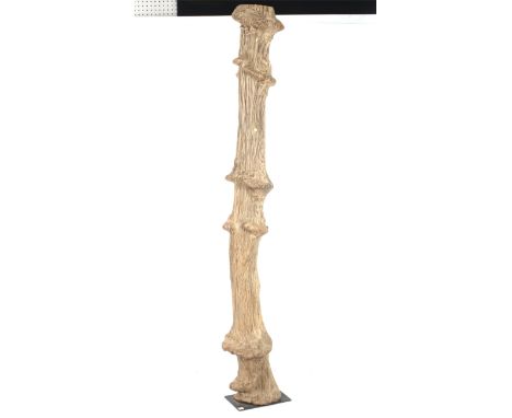 A natural weathered 'knobbly' sculptural tree trunk. On a metal base. H200cm