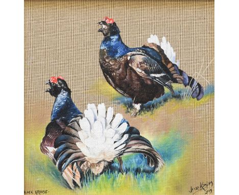 Jo Van Kampen (b.1968)"Black Grouse"Signed, inscribed and dated 2019, oil on linen, 29cm by 29cm 