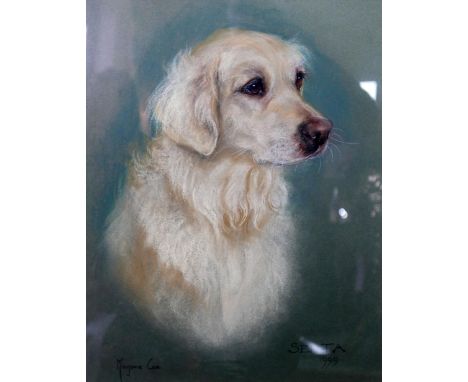 Marjorie Cox, portrait of a dog, signed and dated 1999, 46 x 36cm 
