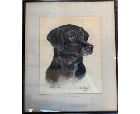 Marjorie Cox (1915-2003), 'Sweep', pastel study of a black labrador, signed and dated 1964, 38x30.5cm