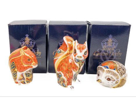 ROYAL CROWN DERBY Lovely Woodlands Creatures collection.  Large Hedgehog Gold Button First Quality, Red Squirrel Gold Button 