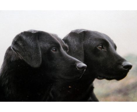 STEVEN TOWNSEND "PARTNERS". Limited edition colour print of two labradors. Image 16ins x 18ins.