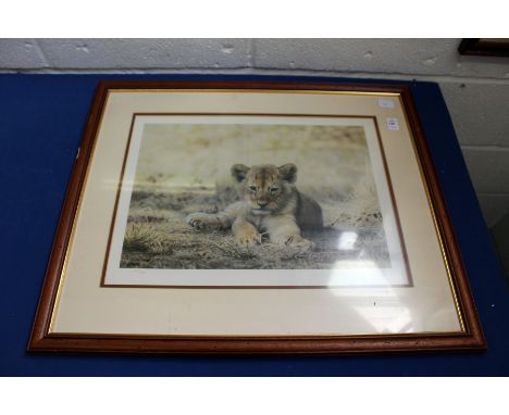 STEVEN TOWNSEND "LION CUB".  Colour Print. Signed in Pencil, No. 428/500. Image 11.5ins x 15.5ins.
