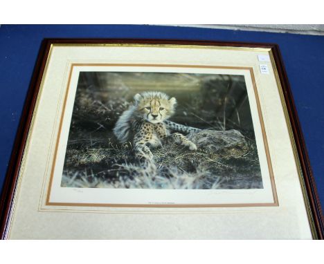 STEVEN TOWNSEND "TIME TO LEAVE". Colour Print. Signed in Pencil, No. 196/500. Image 11.5ins x 16.5ins.