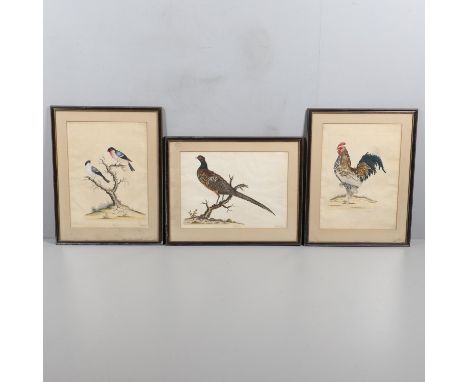 Two, etchings with hand colouring, each signed, titled and dated 1779 in margins 30.5 x 43.5cm.; and 44 x 31.5cm.; with `The 