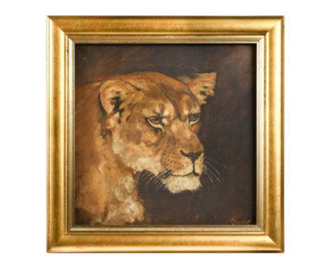 Ervin Czynk (Hungarian 20th century)Portrait of a lioness, circa 1920 signed 'Czynk' (lower right) oil on canvas 45 x 45cm