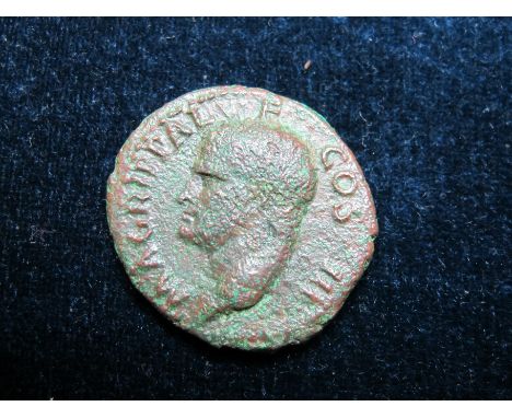 Agrippa as, struck by Caligula, in honour of his grandfather, Rome Mint 37-41 A.D., reverse:- Neptune standing left, holding 
