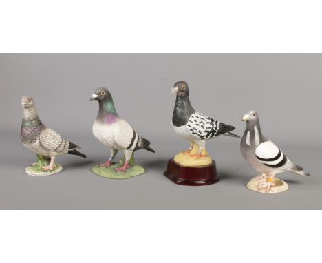 A collection of four pigeon figurines, featuring pieces from John Beswick, Goebel, Leonardo and one with a wooden base.  All 