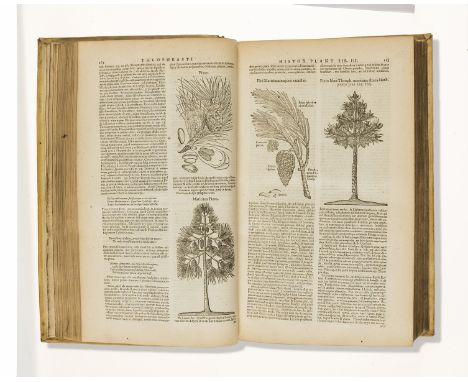 Botany.- Theophrastus. De historia plantarum libri decem, edited by Joannes Bodaeus von Stapel, fine engraved architectural t