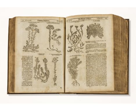 Botany.- Parkinson (John) Theatrum Botanicum: The Theater of Plantes, first edition, additional engraved allegorical title by