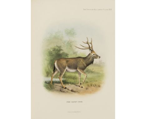 Lydekker (Richard) The Deer of All Lands, first edition, one of 500 copies signed by the publisher, 24 hand-coloured lithogra