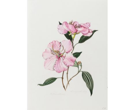 Botany.- Mee (Margaret) Flowers of the Brazilian Forests, number 38 of 100 specially bound copies with an original watercolou