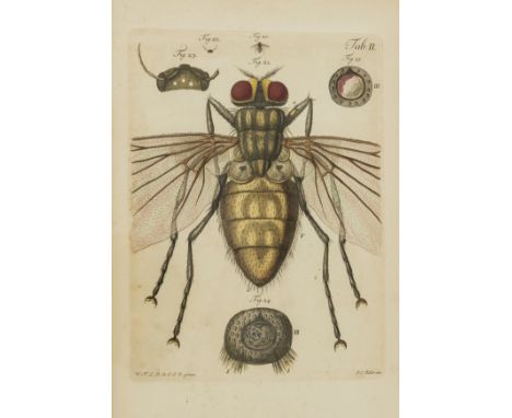 Insects.- [Gleichen-Russworm (Wilhelm Friedrich von)] Histoire de la Mouche Commune de nos Appartemens, first French edition,