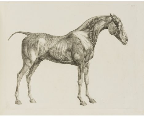 Stubbs (George) The Anatomy of the Horse, first edition, first issue, 24 fine engraved plates, all washed, light browning to 