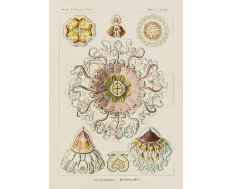 Haeckel (Prof. Dr. Ernst ) Kunstformen der Natur, 2 parts and supplement in 1 vol., 100 plates, several colour, some chromoli