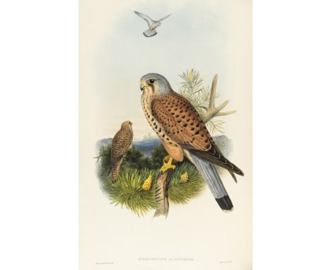 Birds.- Gould (John) The Birds of Great Britain, 5 vol., first edition, list of subscribers, 367 hand-coloured lithographed p