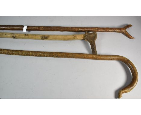A Bone Handled Walking Stick, Thumb Stick and a Crook 