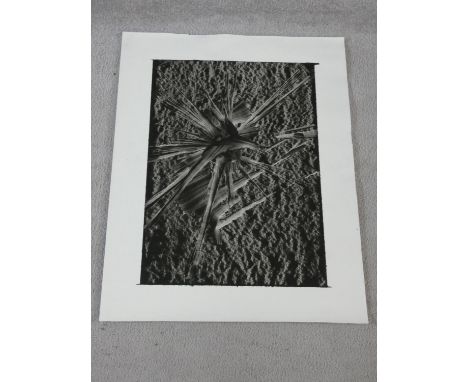 A mounted screen print on felt, Ismael Iglesias, (b.1974), signed, tilted and dated to the reverse. 52.5x82.5cm 