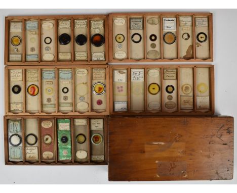 Thirty Victorian and later glass microscope slides including Watson, Bourgogne, Southall Bros and Barclay Birmingham, H.J.Gra