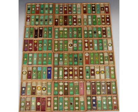 Cabinet of 144 Victorian and later microscope slides, mostly annotated and with preparer's name including Newton &amp; CO. Lo