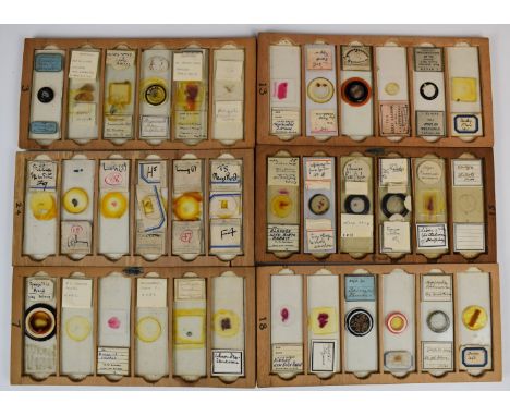 One hundred and forty eight Victorian and later glass microscope slides including Walthamstow Technical Institute, insects, p