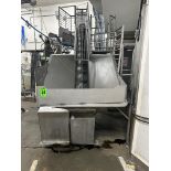 SS Single Screw Conveyor Station w/ SS Grill Guard, Rail, (2) Platforms and Stairs. Approx 10ft x