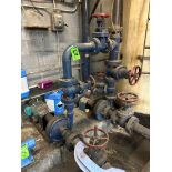 Lot of Valves and Pumps for water tank incl. BROOK CROMPTON mod. VP-HATR47, (4) Valves, pipes. Total