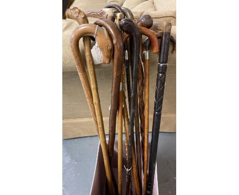 Collection of vintage walking stick and canes: horn handles, chestnut wood with root ball knop handle, horse head, silver and