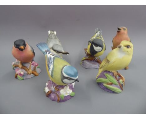 A Quantity of Porcelain Worcester Birds, including Wood Warbler, Great Tit, Nuthatch, Bull Finch, Chaffinch, Blue Tit, togeth