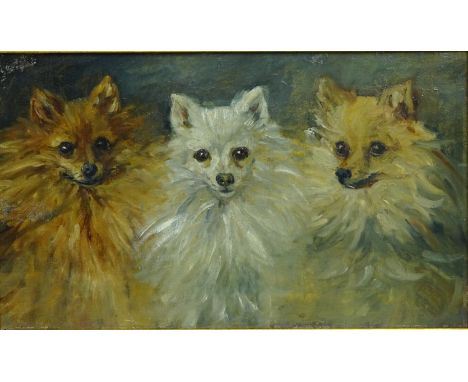 Portrait of three Pomeranian dogs, 19th/early 20th century oil on canvas unsigned 29.5cm x 50cm   Condition Report   Click he