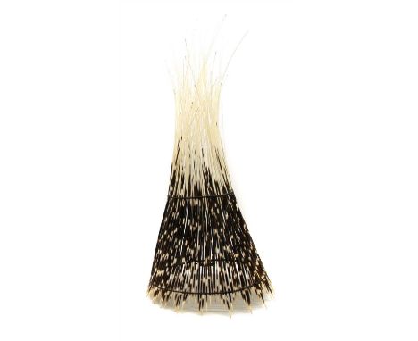 A porcupine quill lamp shade, 70cm high
