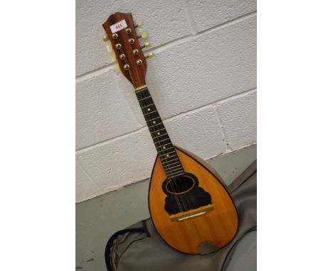 A traditional bowl back mandolin in the neopolitan style , unlabelled, in vintage vinyl case