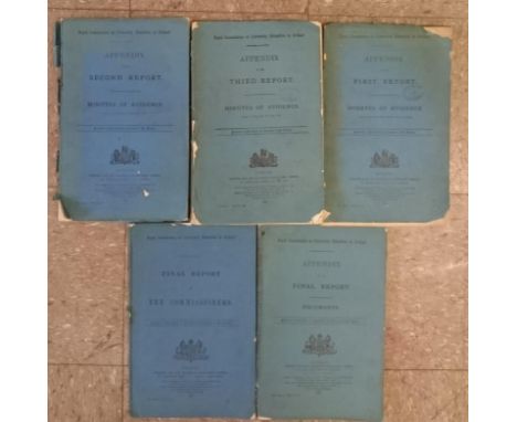 University Education in Ireland, Royal Commission on]. Minutes of Evidence [being] Appendix to First Report, Dublin, 1901, 42