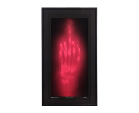 SHOK-1 - Neon Flamingo, 2013 - "Neon Flamingo" by Shok-1, British b. 1970-This piece captures the artist's signature blend of
