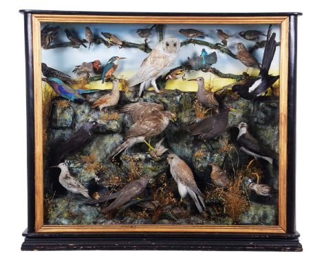 Taxidermy: A Late Victorian Large Cased Diorama of British, European and African Birds, circa 1870-1900, a large mixed dioram
